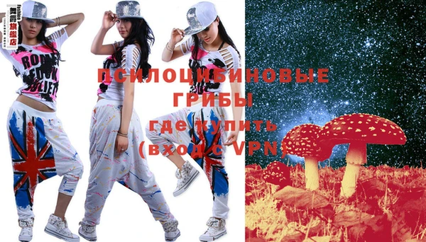 apvp Новодвинск