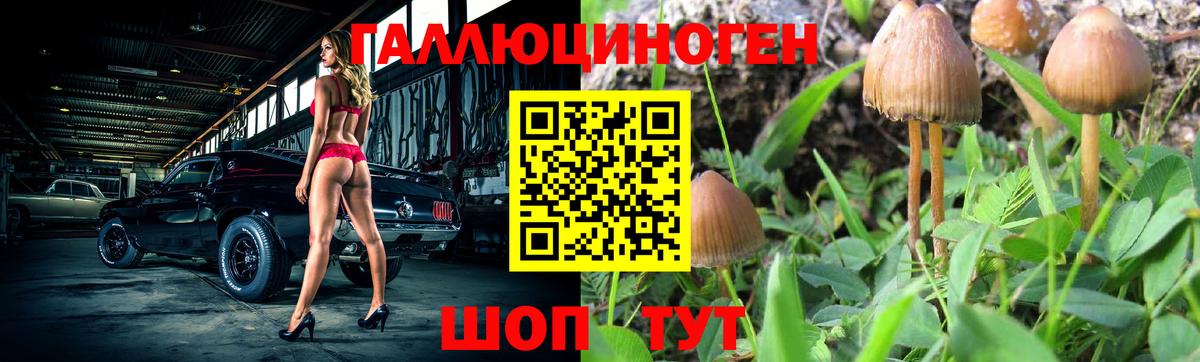 Галлюциногенные грибы Psilocybe  Вход с VPN  Барабинск 